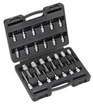 Set tappi Torx 26 parti Set tappi Torx 26 parti