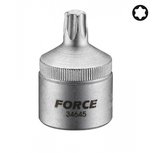 Tappi Torx bit 1/2 (in un unico pezzo) Tappi Torx bit 1/2 (in un unico pezzo)