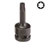 Tappi a punta di forza Torx T35 1/2 (in un unico pezzo) Tappi a punta di forza Torx T35 1/2 (in un unico pezzo)