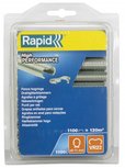 Graffe rapide VR22 gallv. blister 1100 pezzi Graffe rapide VR22 gallv. blister 1100 pezzi