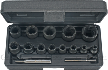Bussole specialistiche con profilo a torsione 15 pezzi 1/4+1/2 6-27 mm