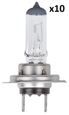 Lampadina auto 12V 55W PX26d H7 in scatola