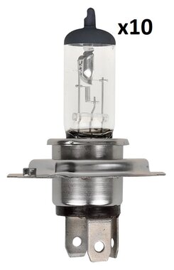 Lampadina auto 12V 60 55W P43t H4 in scatola