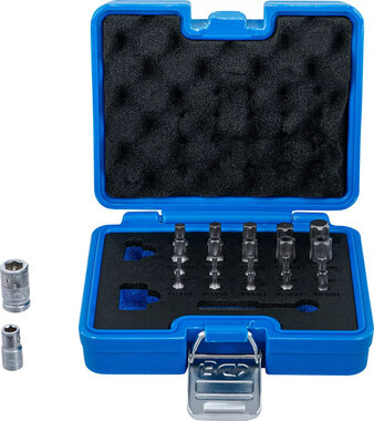 Serie di inserti Profilo TS (per Torx Plus) 23 pz
