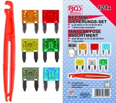 Gamma di Mini Fusibili 121 pezzi