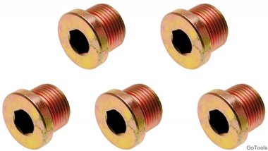 Viti di scarico olio per BGS 126 M17 x 1,5 mm 5 pezzi